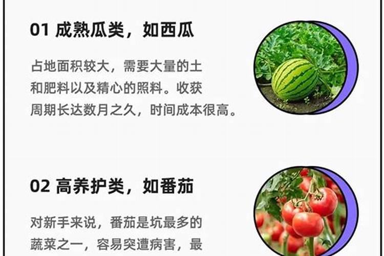 蔬菜幼苗移栽后多久可以施肥