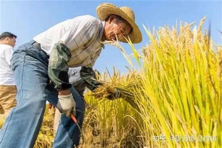 磷肥旺季在几月份