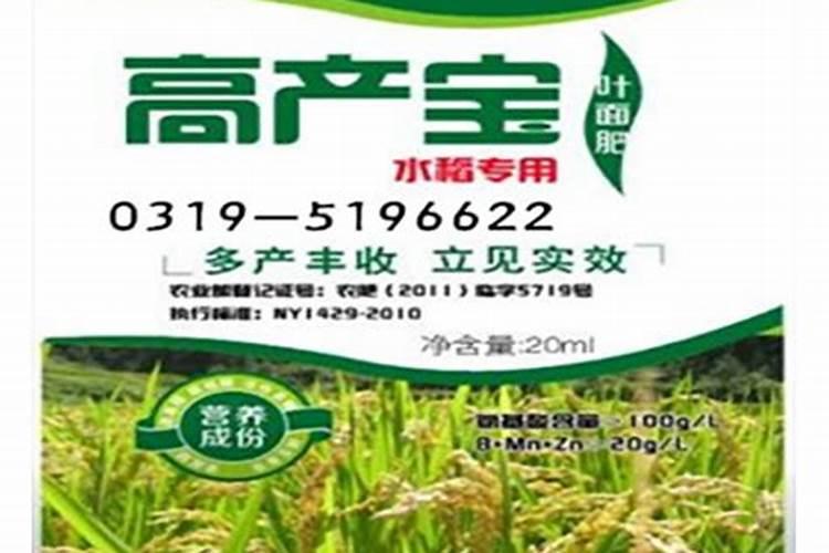 水稻分蘖期喷什么叶面肥好