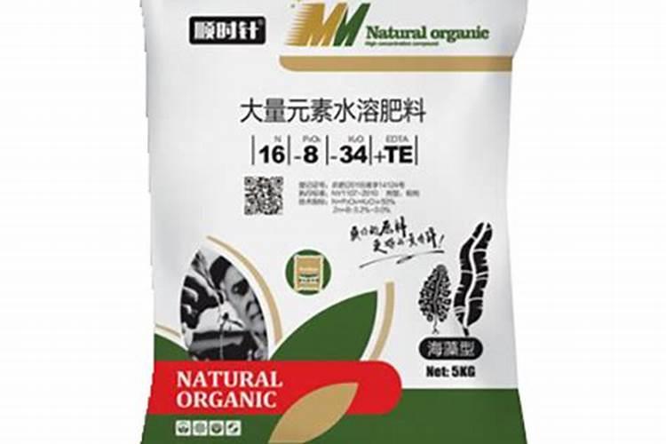 树苗施什么肥料什么时间施肥最好