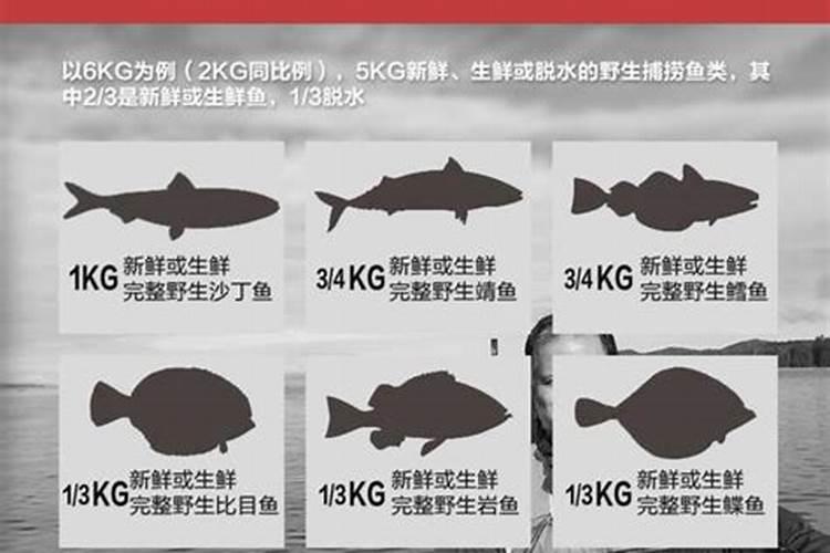 槟榔花黄油酱比目鱼滋阴润肤