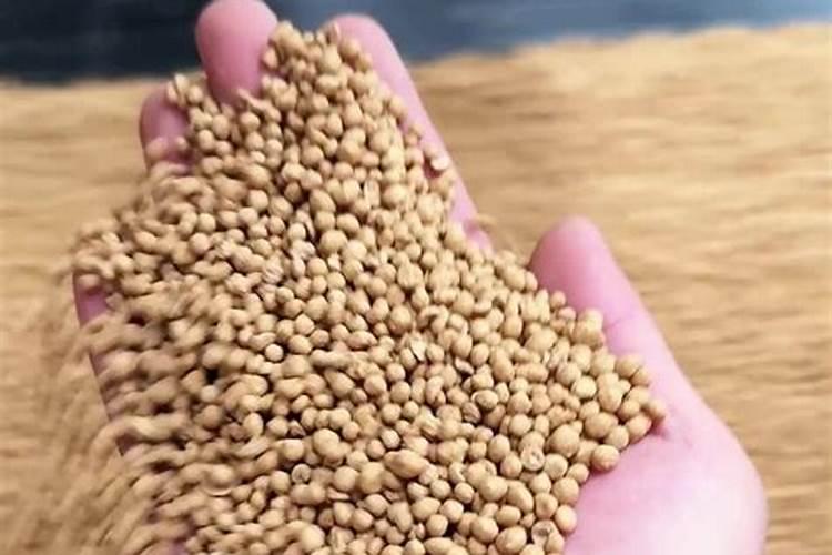 一斤高氮肥要兑多少斤水浇葡萄树？