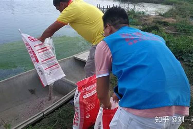 玉米地用什么肥料
