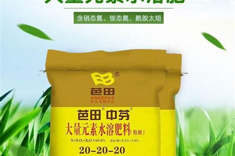 钙肥是什么