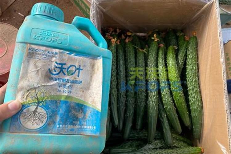 发酵的东西有哪些？