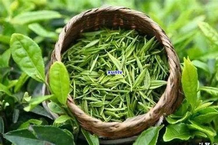种豆用什么肥料最好