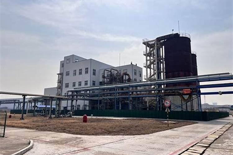 用棕榈粕原料的工厂有哪些