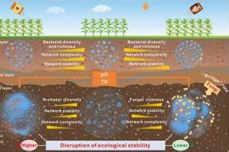 中国水溶肥十大品牌