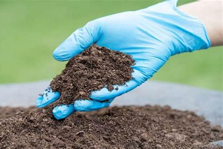 怎样使用微生物有机肥发酵剂EM菌种青菜效果好