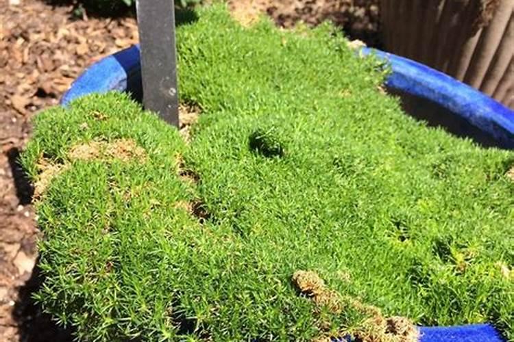 晋中榆次农家肥最便宜的地方