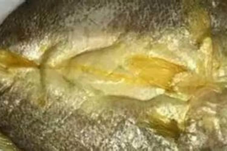 安它血浆蛋白鱼蛋白是进口的吗？