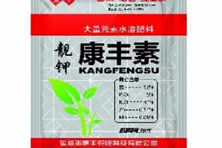 博洋9号甜瓜特点