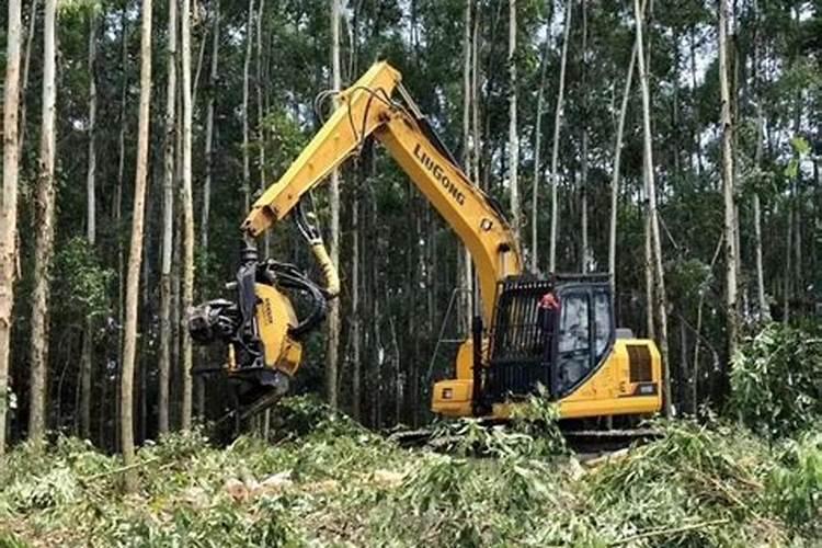 烟苗被冰雹打过,栽上叶子变黄,喷什么农药好
