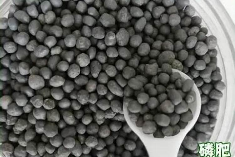 怎样提高磷肥的施用效果,提高水稻磷肥施用效果的方法