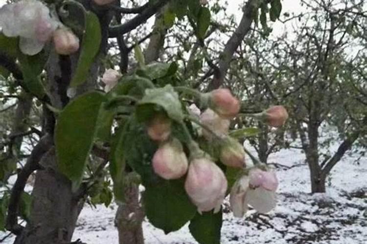 菏泽8月份适合种什么蔬菜？