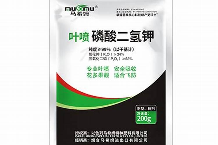 洋葱施什么肥最好