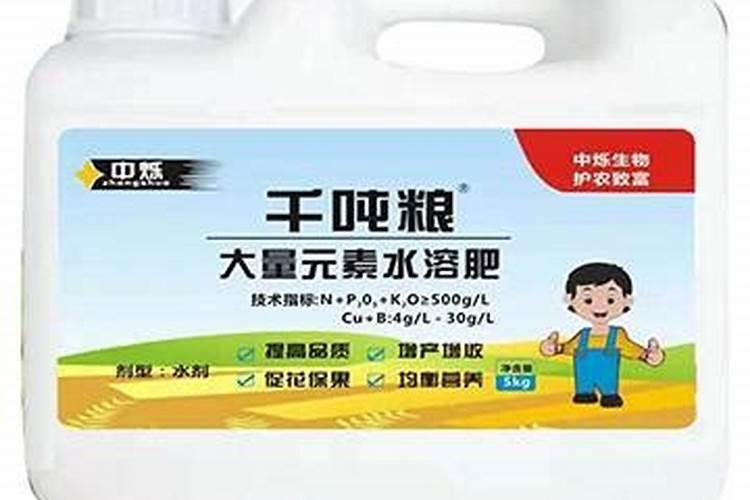 土豆膨大用什么比较好？