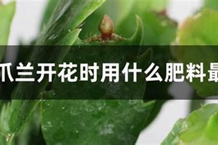 大豆油能不能当肥料上地？