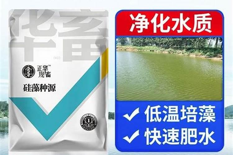 富营养化水体用什么肥水好