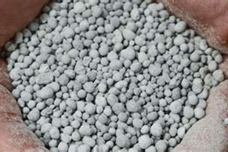 大豆多肽的水解工艺以及对应蛋白酶介绍