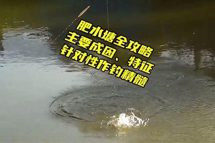 新塘养鱼如何肥水