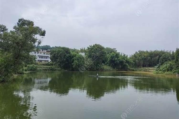 水产养殖水质怎么调水,肥水各种水质详细介绍