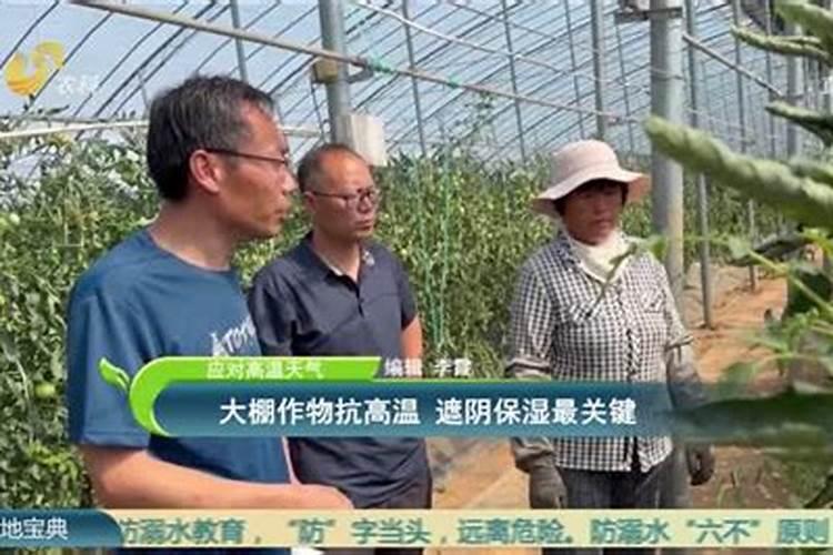 硼肥科学合理使用硼肥