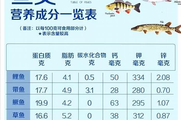 鱼的蛋白质含量高吗