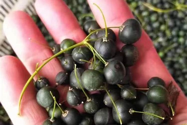 复合肥用种小番茄做底肥行吗？