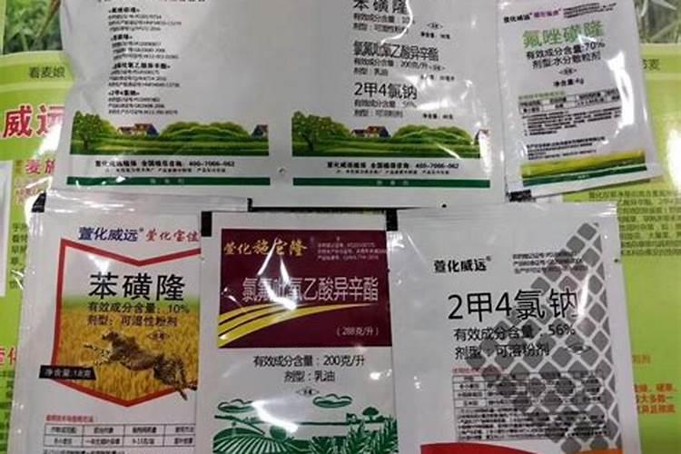 小麦分蘖期喷什么叶面肥