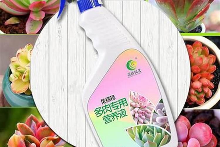 多肉植物是浇营养液还是用肥料？