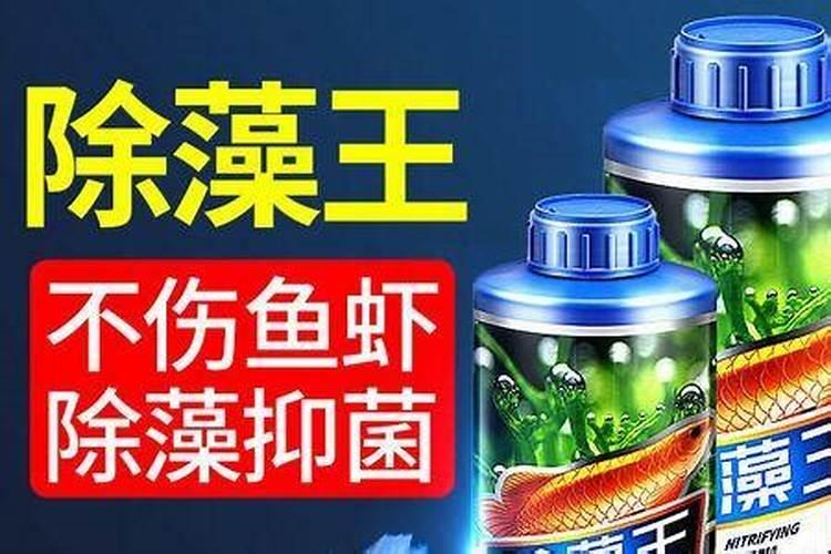 24一表芸苔素内酯作用,能拌种吗
