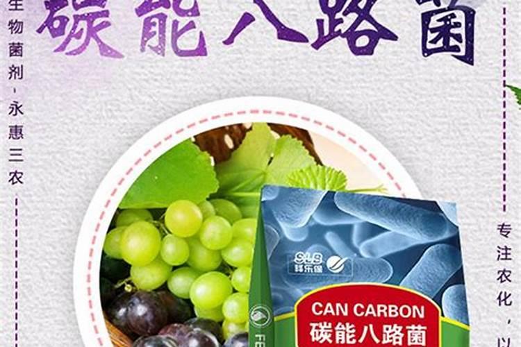 玉米底肥一次性施肥 氮磷钾 各用多少？