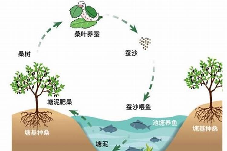 鱼塘养鱼能投化肥吗