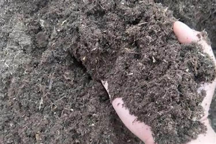 青菜等绿叶植物腐烂后是什么属性的肥料？