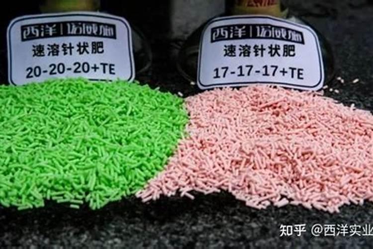 买肥料的时候要注意哪些问题？