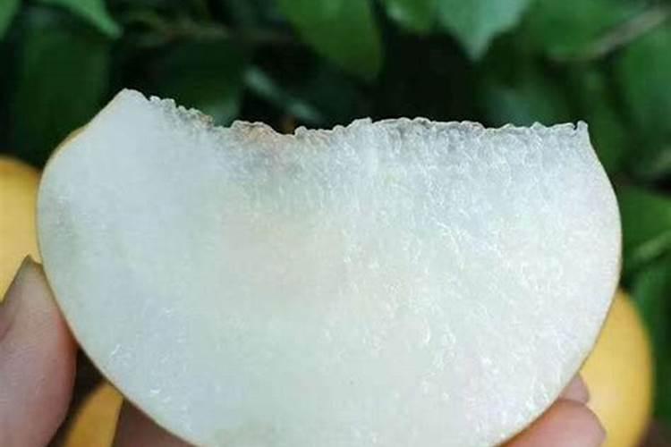 金秋梨和秋月梨区别