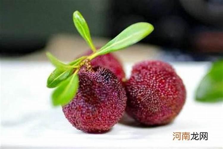 杨梅果实膨大管理技术 如何合理施肥