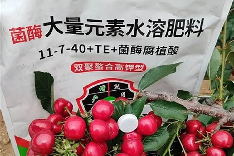 豆角最好的叶面肥