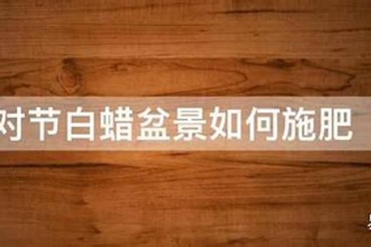 对节白蜡盆景怎样科学施肥