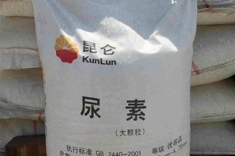 茶叶催芽增芽什么药最好用