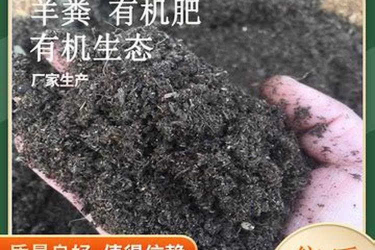 海藻肥怎么用