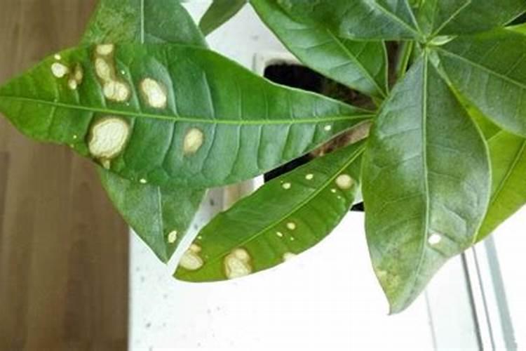 济宁 化肥生产企业多少家企业