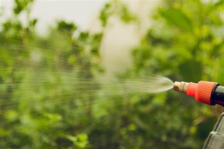 求99%绿颖矿物油用法