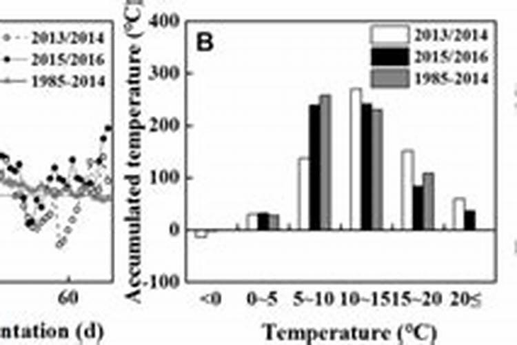 啤酒的「瓶装」与「罐装」有什么不同？