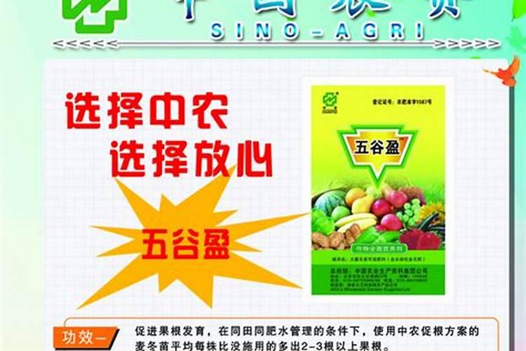 玉米叶面肥最佳时期