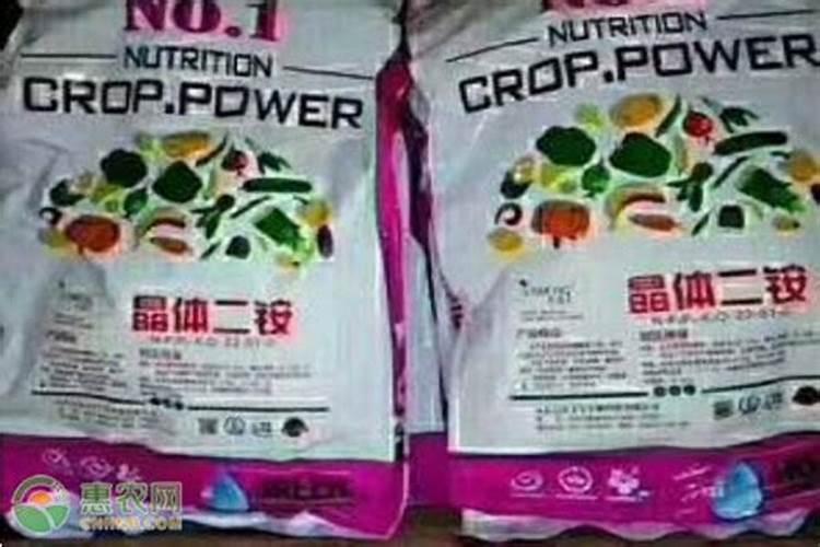 富贵椰子怎么浇水方法