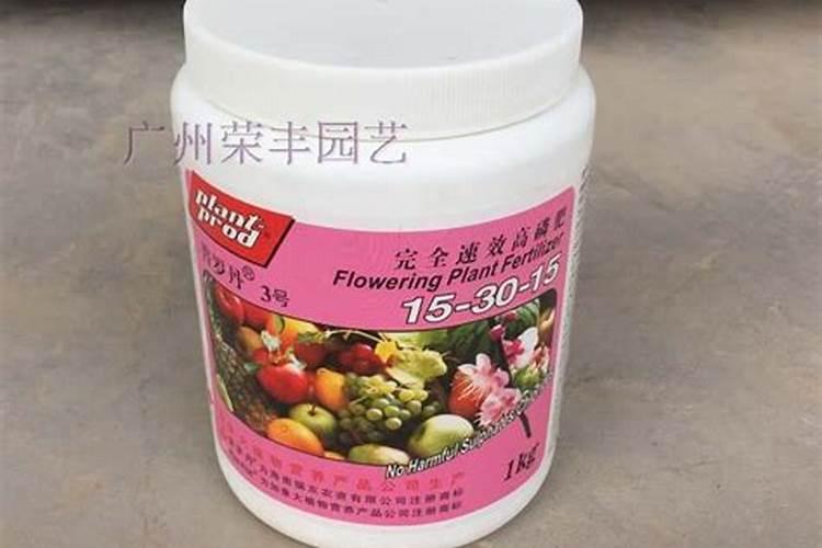 细叶棕竹的养殖方法