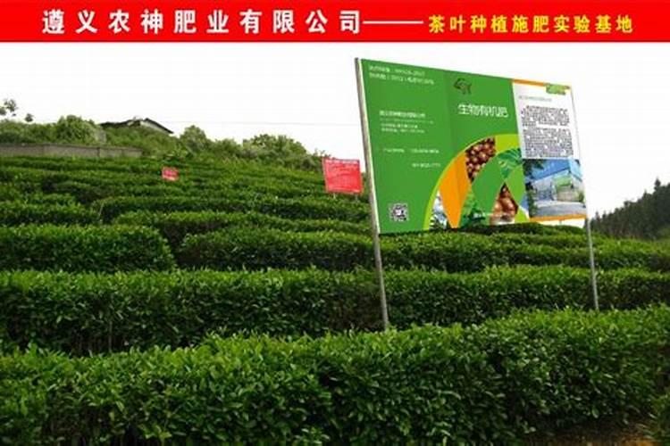 家用自制氮肥有哪些