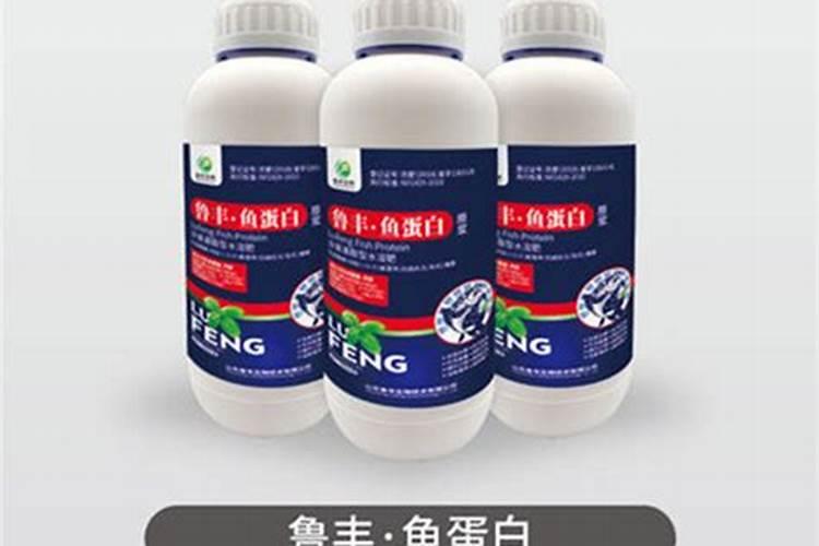 发财树(瓜栗)的养殖方法